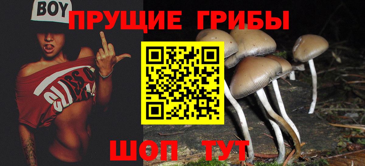 Галлюциногенные грибы мицелий Среднеуральск