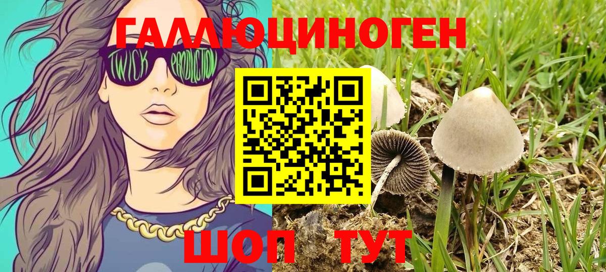 Среднеуральск  Псилоцибиновые грибы GOLDEN TEACHER  Вход с VPN 